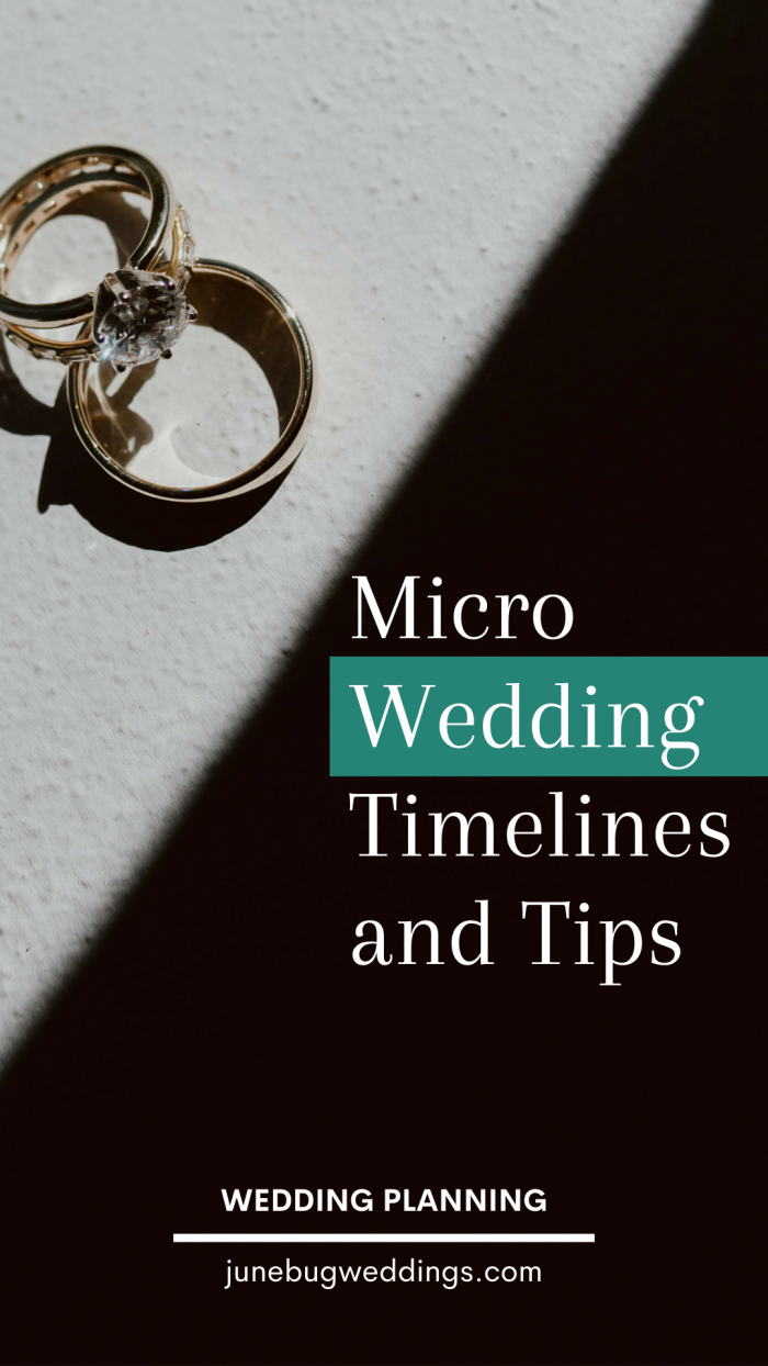 Micro Wedding Timelines and Tips Graphic